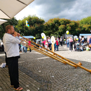 Alphorn