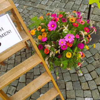 Willkommen